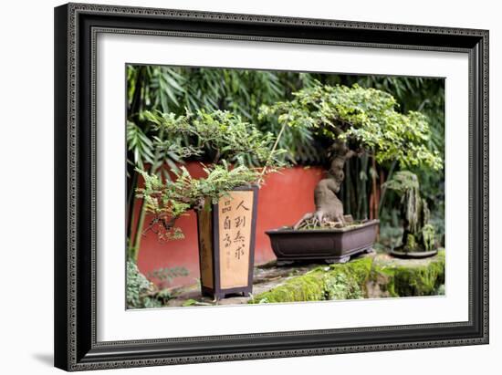 China 10MKm2 Collection - Bonsai Trees-Philippe Hugonnard-Framed Photographic Print