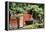 China 10MKm2 Collection - Bonsai Trees-Philippe Hugonnard-Framed Premier Image Canvas