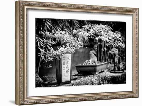 China 10MKm2 Collection - Bonsai Trees-Philippe Hugonnard-Framed Photographic Print