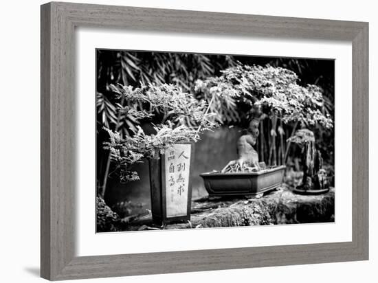 China 10MKm2 Collection - Bonsai Trees-Philippe Hugonnard-Framed Photographic Print