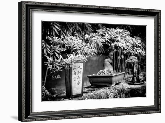 China 10MKm2 Collection - Bonsai Trees-Philippe Hugonnard-Framed Photographic Print