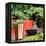 China 10MKm2 Collection - Bonsai Trees-Philippe Hugonnard-Framed Premier Image Canvas