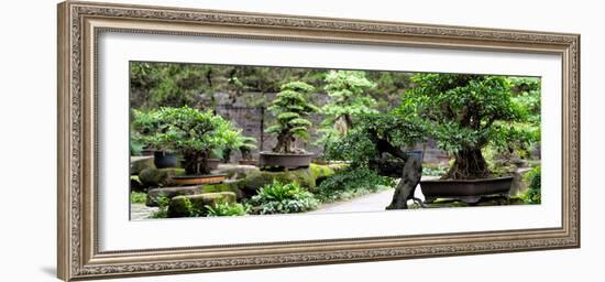 China 10MKm2 Collection - Bonsai Trees-Philippe Hugonnard-Framed Photographic Print