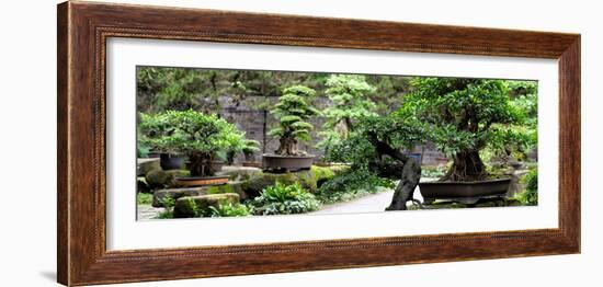 China 10MKm2 Collection - Bonsai Trees-Philippe Hugonnard-Framed Photographic Print