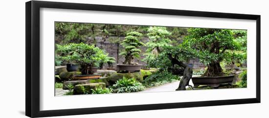 China 10MKm2 Collection - Bonsai Trees-Philippe Hugonnard-Framed Photographic Print