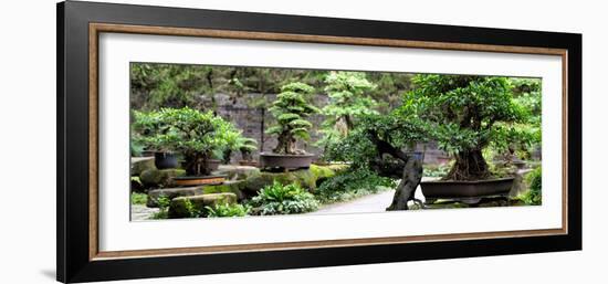 China 10MKm2 Collection - Bonsai Trees-Philippe Hugonnard-Framed Photographic Print