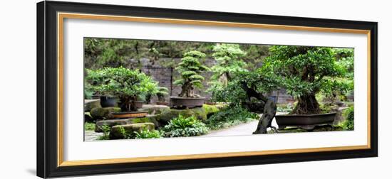 China 10MKm2 Collection - Bonsai Trees-Philippe Hugonnard-Framed Photographic Print