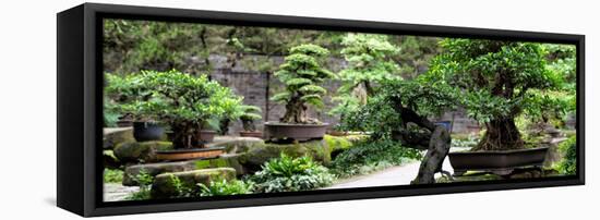 China 10MKm2 Collection - Bonsai Trees-Philippe Hugonnard-Framed Premier Image Canvas