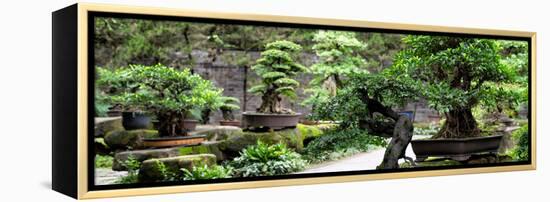 China 10MKm2 Collection - Bonsai Trees-Philippe Hugonnard-Framed Premier Image Canvas