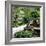 China 10MKm2 Collection - Bonsai Trees-Philippe Hugonnard-Framed Photographic Print