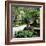 China 10MKm2 Collection - Bonsai Trees-Philippe Hugonnard-Framed Photographic Print