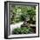 China 10MKm2 Collection - Bonsai Trees-Philippe Hugonnard-Framed Photographic Print