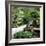 China 10MKm2 Collection - Bonsai Trees-Philippe Hugonnard-Framed Photographic Print