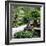 China 10MKm2 Collection - Bonsai Trees-Philippe Hugonnard-Framed Photographic Print