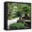 China 10MKm2 Collection - Bonsai Trees-Philippe Hugonnard-Framed Premier Image Canvas