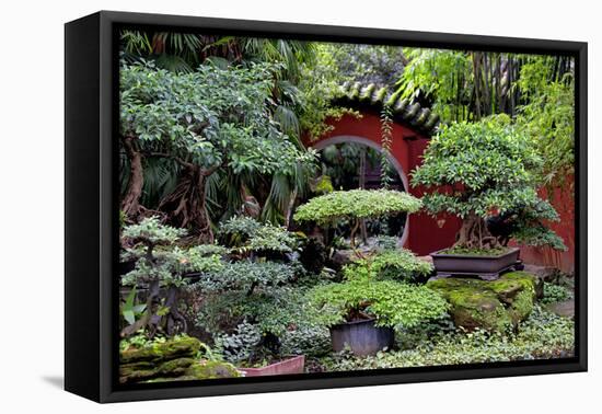 China 10MKm2 Collection - Bonsai Trees-Philippe Hugonnard-Framed Premier Image Canvas