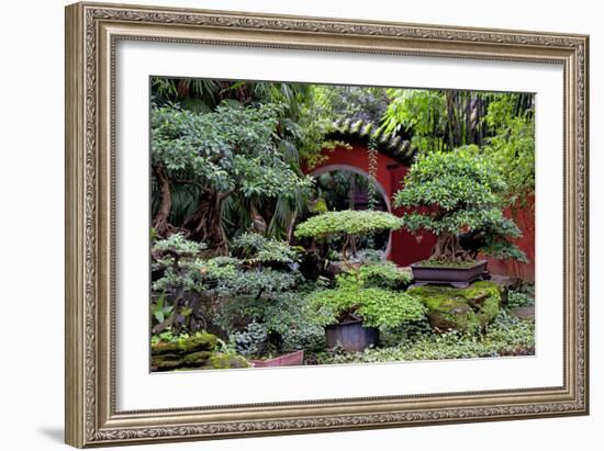 China 10MKm2 Collection - Bonsai Trees-Philippe Hugonnard-Framed Photographic Print