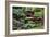 China 10MKm2 Collection - Bonsai Trees-Philippe Hugonnard-Framed Photographic Print