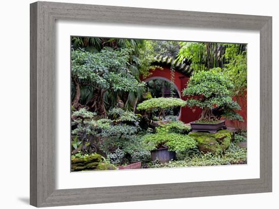 China 10MKm2 Collection - Bonsai Trees-Philippe Hugonnard-Framed Photographic Print