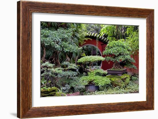 China 10MKm2 Collection - Bonsai Trees-Philippe Hugonnard-Framed Photographic Print