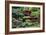 China 10MKm2 Collection - Bonsai Trees-Philippe Hugonnard-Framed Photographic Print