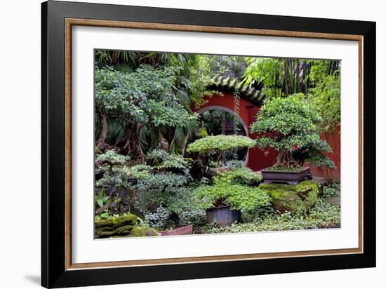 China 10MKm2 Collection - Bonsai Trees-Philippe Hugonnard-Framed Photographic Print