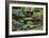 China 10MKm2 Collection - Bonsai Trees-Philippe Hugonnard-Framed Photographic Print