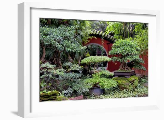 China 10MKm2 Collection - Bonsai Trees-Philippe Hugonnard-Framed Photographic Print