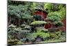 China 10MKm2 Collection - Bonsai Trees-Philippe Hugonnard-Mounted Photographic Print