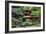 China 10MKm2 Collection - Bonsai Trees-Philippe Hugonnard-Framed Photographic Print