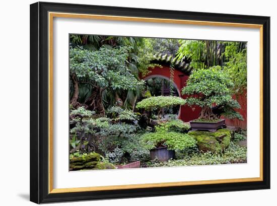 China 10MKm2 Collection - Bonsai Trees-Philippe Hugonnard-Framed Photographic Print