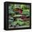 China 10MKm2 Collection - Bonsai Trees-Philippe Hugonnard-Framed Premier Image Canvas