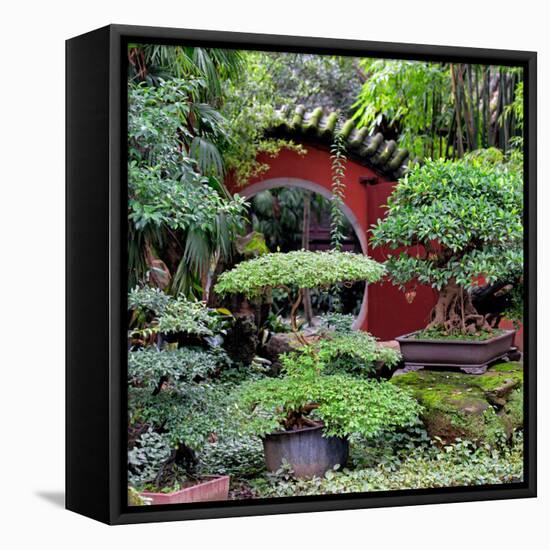 China 10MKm2 Collection - Bonsai Trees-Philippe Hugonnard-Framed Premier Image Canvas