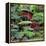 China 10MKm2 Collection - Bonsai Trees-Philippe Hugonnard-Framed Premier Image Canvas