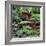 China 10MKm2 Collection - Bonsai Trees-Philippe Hugonnard-Framed Photographic Print