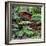 China 10MKm2 Collection - Bonsai Trees-Philippe Hugonnard-Framed Photographic Print