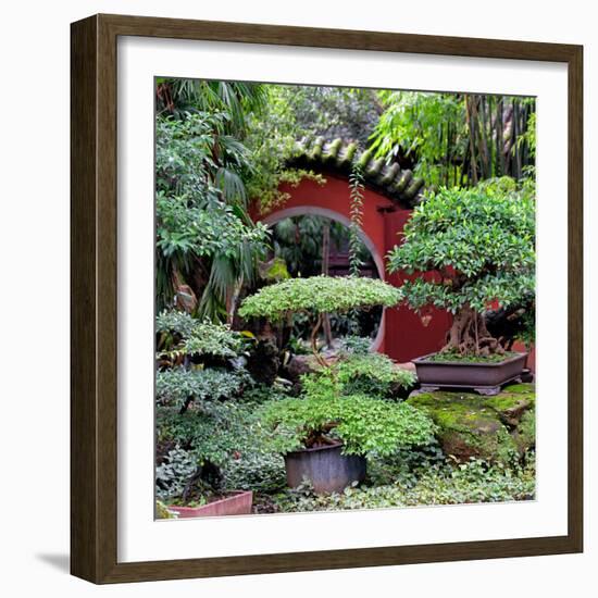 China 10MKm2 Collection - Bonsai Trees-Philippe Hugonnard-Framed Photographic Print