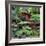 China 10MKm2 Collection - Bonsai Trees-Philippe Hugonnard-Framed Photographic Print