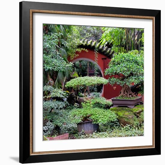 China 10MKm2 Collection - Bonsai Trees-Philippe Hugonnard-Framed Photographic Print