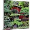 China 10MKm2 Collection - Bonsai Trees-Philippe Hugonnard-Mounted Photographic Print