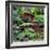 China 10MKm2 Collection - Bonsai Trees-Philippe Hugonnard-Framed Photographic Print