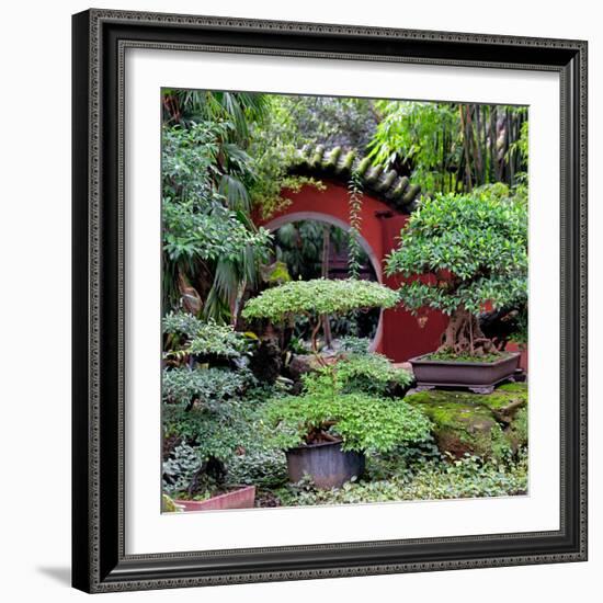 China 10MKm2 Collection - Bonsai Trees-Philippe Hugonnard-Framed Photographic Print