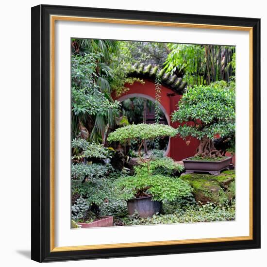 China 10MKm2 Collection - Bonsai Trees-Philippe Hugonnard-Framed Photographic Print