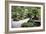 China 10MKm2 Collection - Bonsai Trees-Philippe Hugonnard-Framed Photographic Print