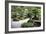 China 10MKm2 Collection - Bonsai Trees-Philippe Hugonnard-Framed Photographic Print