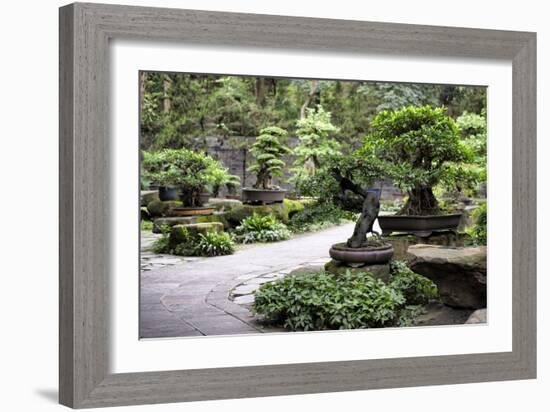 China 10MKm2 Collection - Bonsai Trees-Philippe Hugonnard-Framed Photographic Print