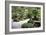 China 10MKm2 Collection - Bonsai Trees-Philippe Hugonnard-Framed Photographic Print