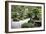 China 10MKm2 Collection - Bonsai Trees-Philippe Hugonnard-Framed Photographic Print