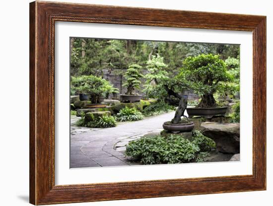 China 10MKm2 Collection - Bonsai Trees-Philippe Hugonnard-Framed Photographic Print