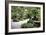 China 10MKm2 Collection - Bonsai Trees-Philippe Hugonnard-Framed Photographic Print